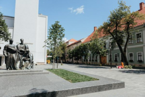 Contessa Central Studio II, Cluj-Napoca